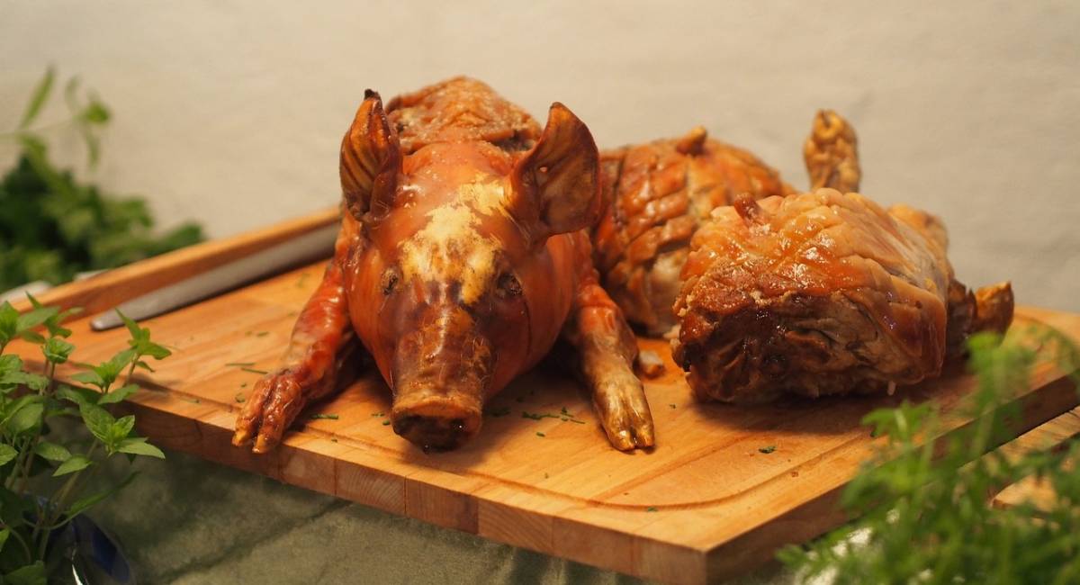 Características de una buena lechona